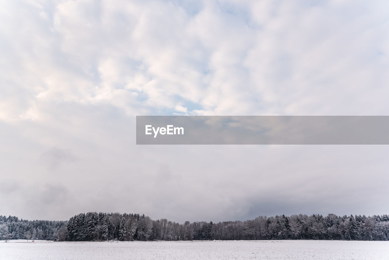 Trees on field against sky during winter