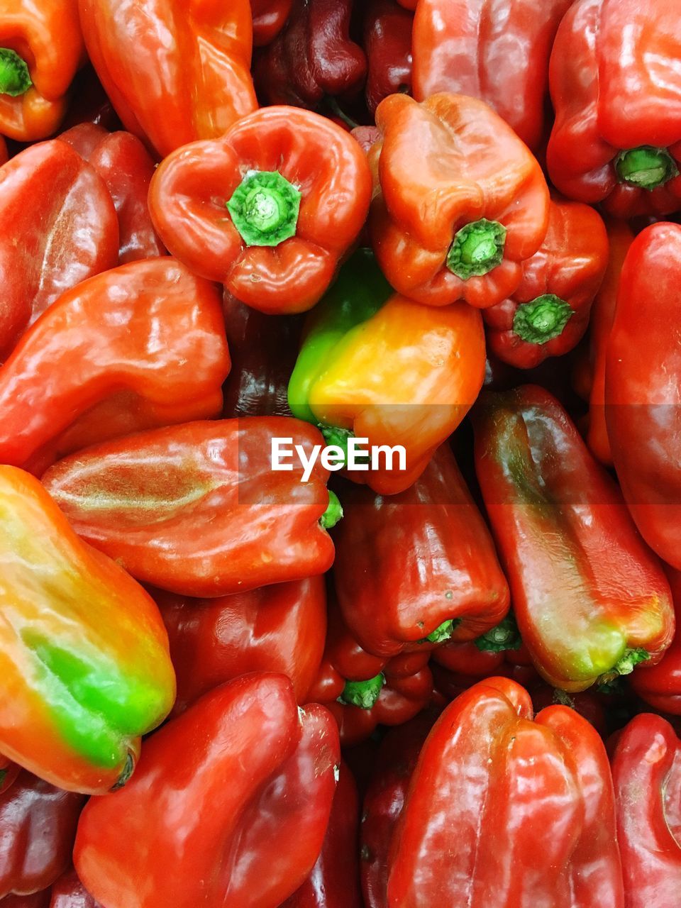 FULL FRAME SHOT OF TOMATOES AND VEGETABLES