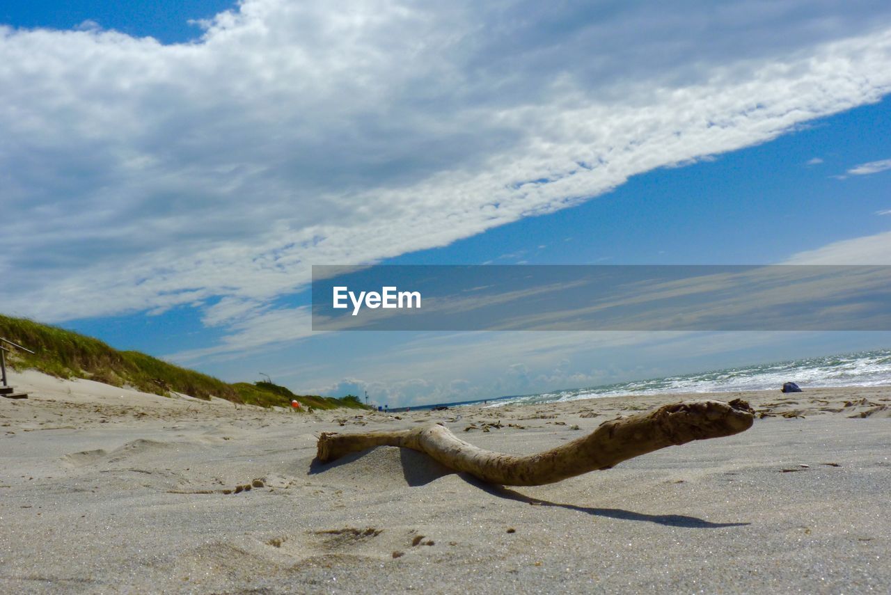 Close-up of drift wood on sand at beach against cloudy sky