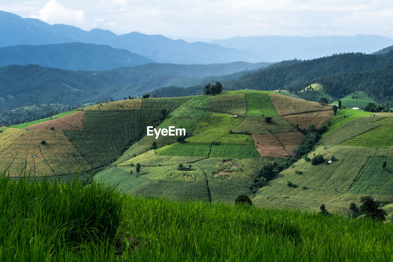 SCENIC VIEW OF FARMS AGAINST SKY