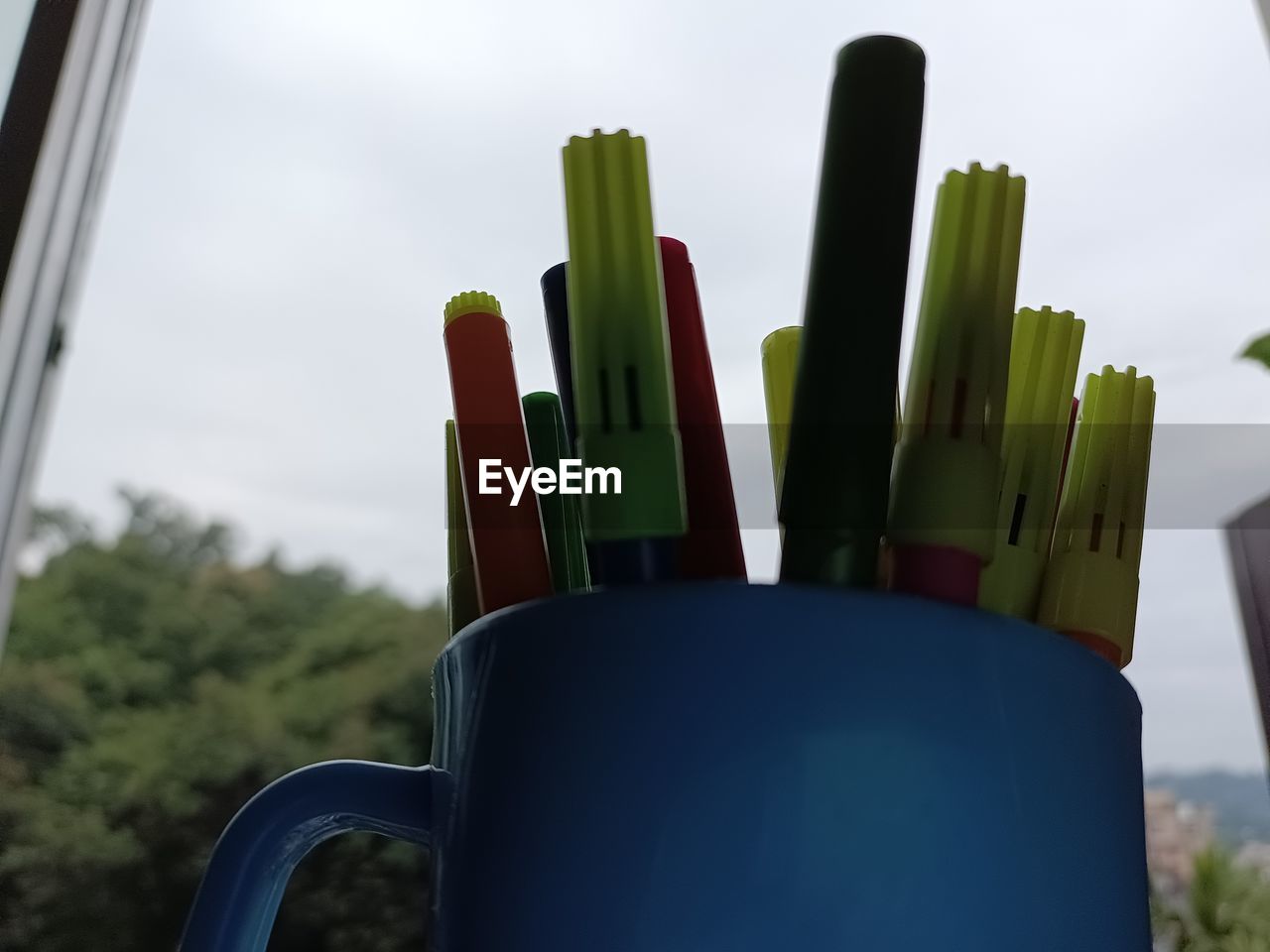 green, blue, no people, nature, close-up, food and drink, plant, day, container, outdoors