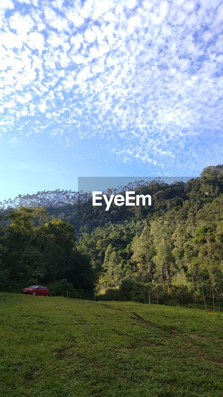 SCENIC VIEW OF GRASSY FIELD AGAINST SKY