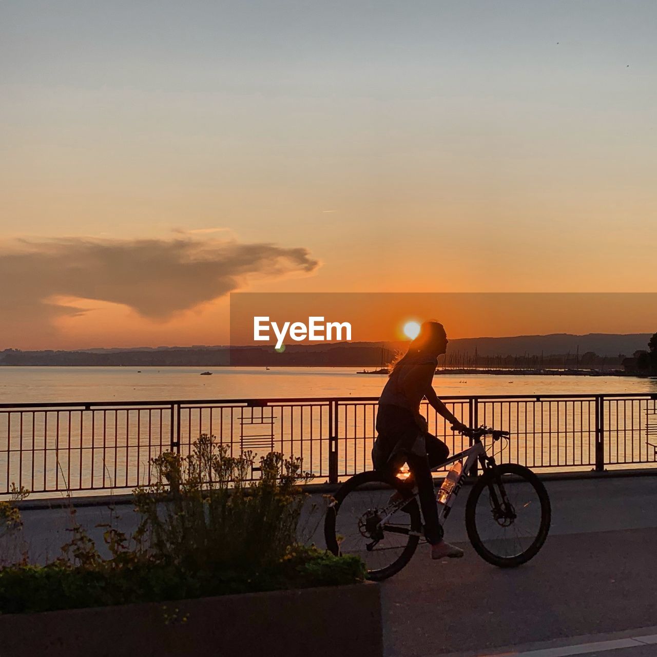 MAN RIDING BICYCLE AT SUNSET
