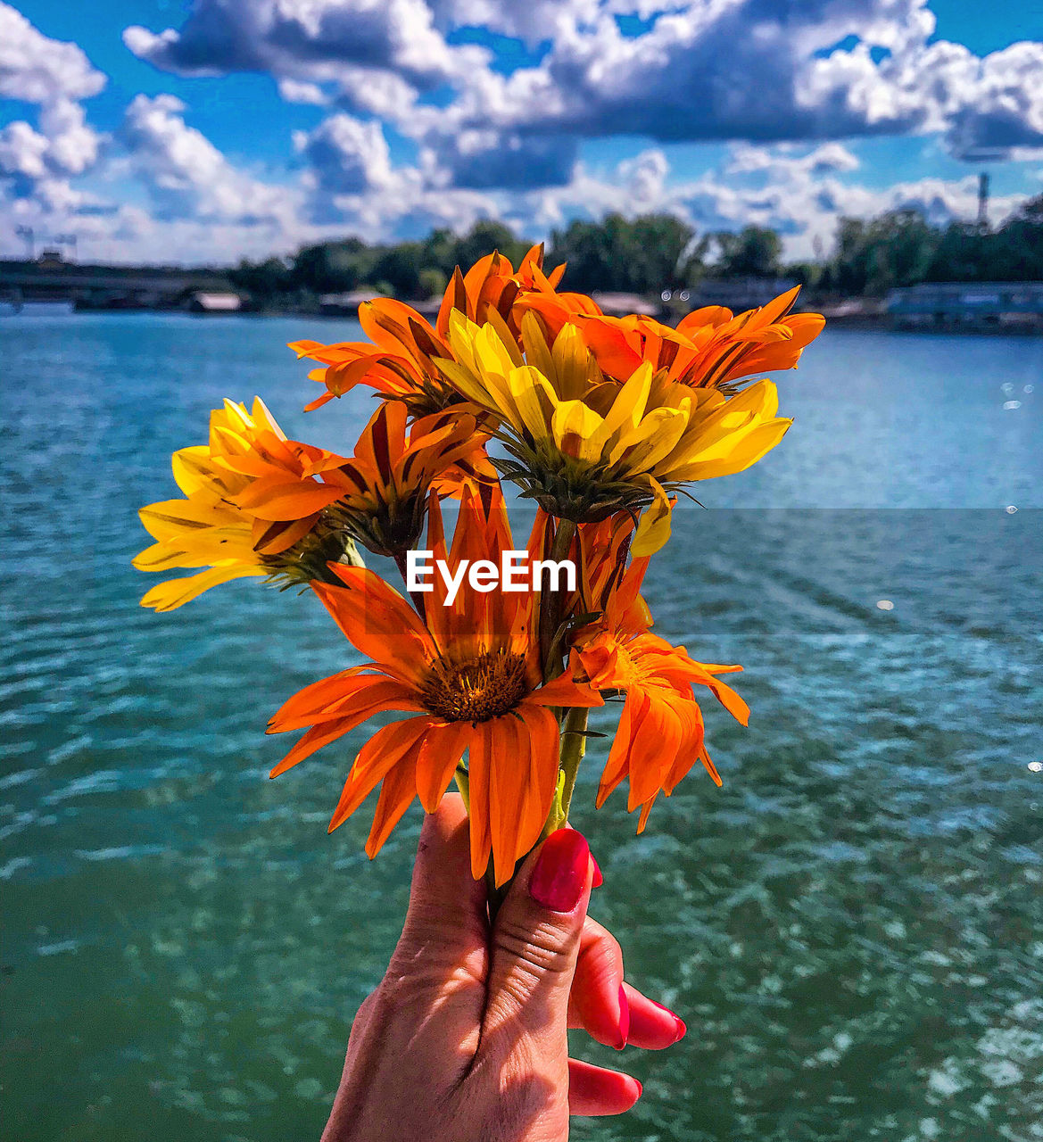 CLOSE-UP OF PERSON HOLDING ORANGE FLOWER AGAINST PLANTS