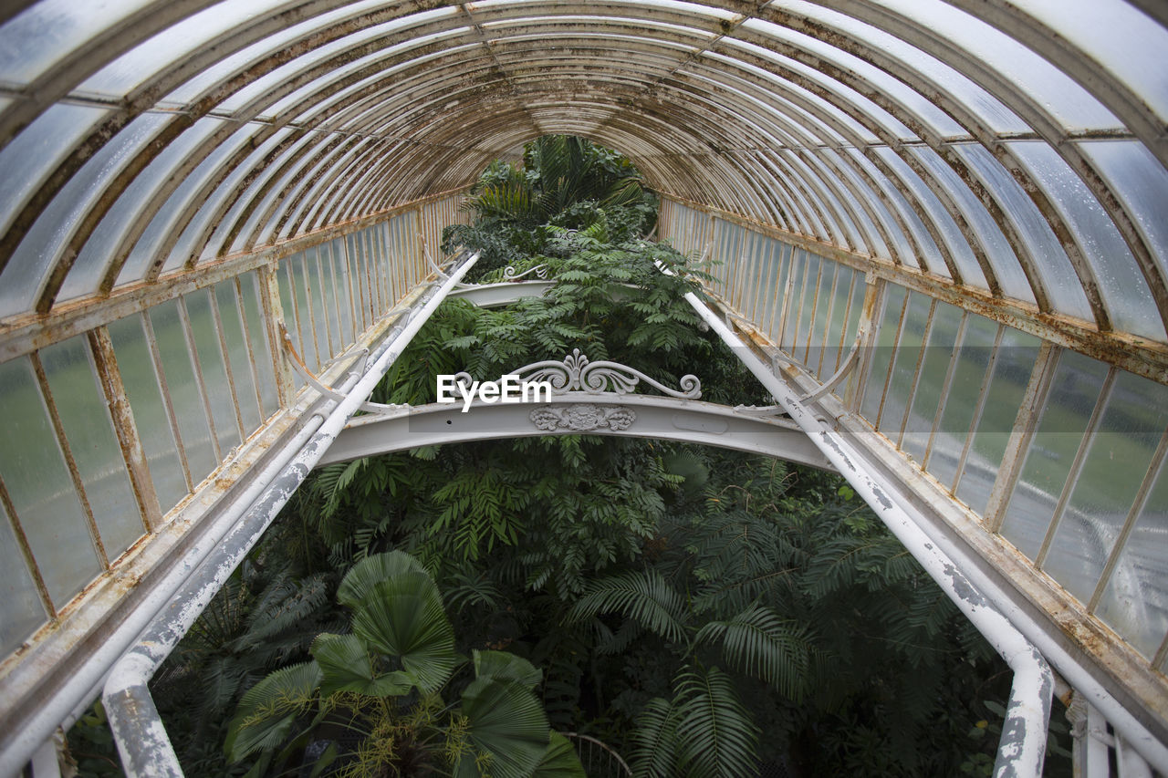 HIGH ANGLE VIEW OF BRIDGE OVER PLANTS