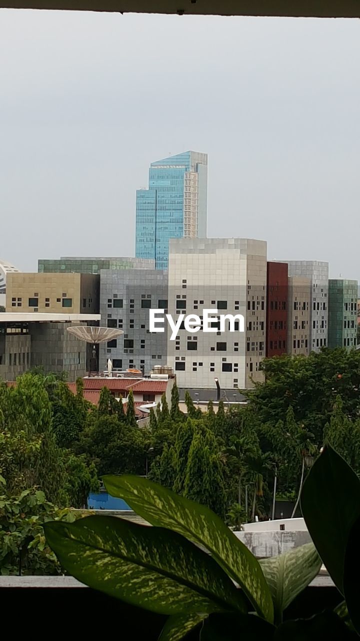 VIEW OF BUILDINGS IN CITY