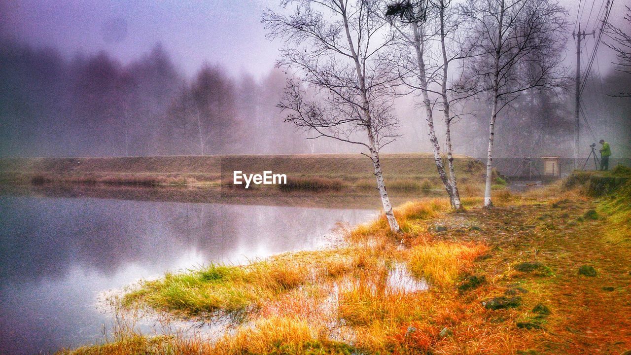 REFLECTION OF TREES ON LAKE