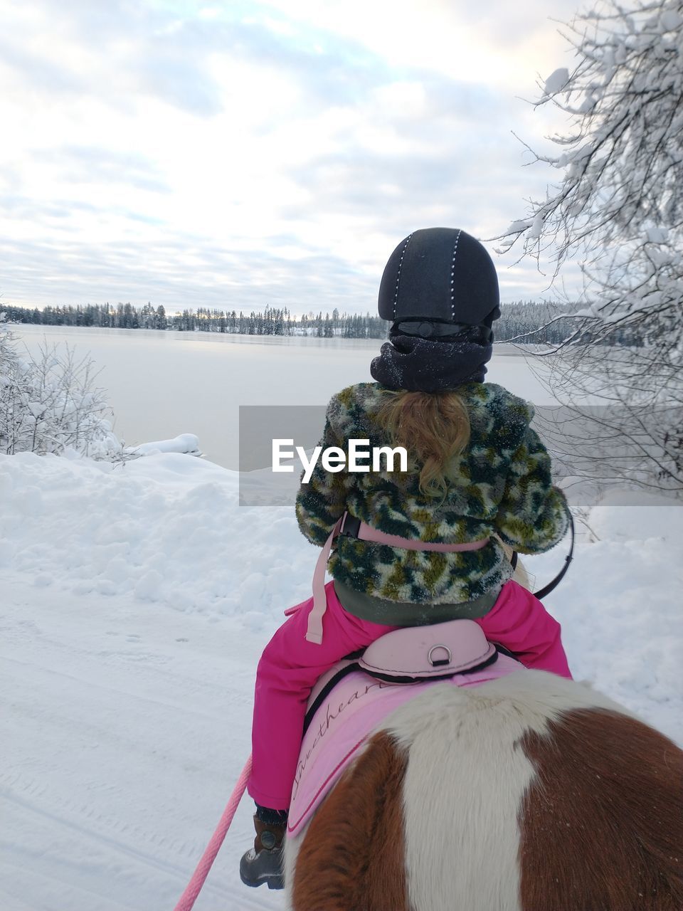 Rear view of woman on snow covered land