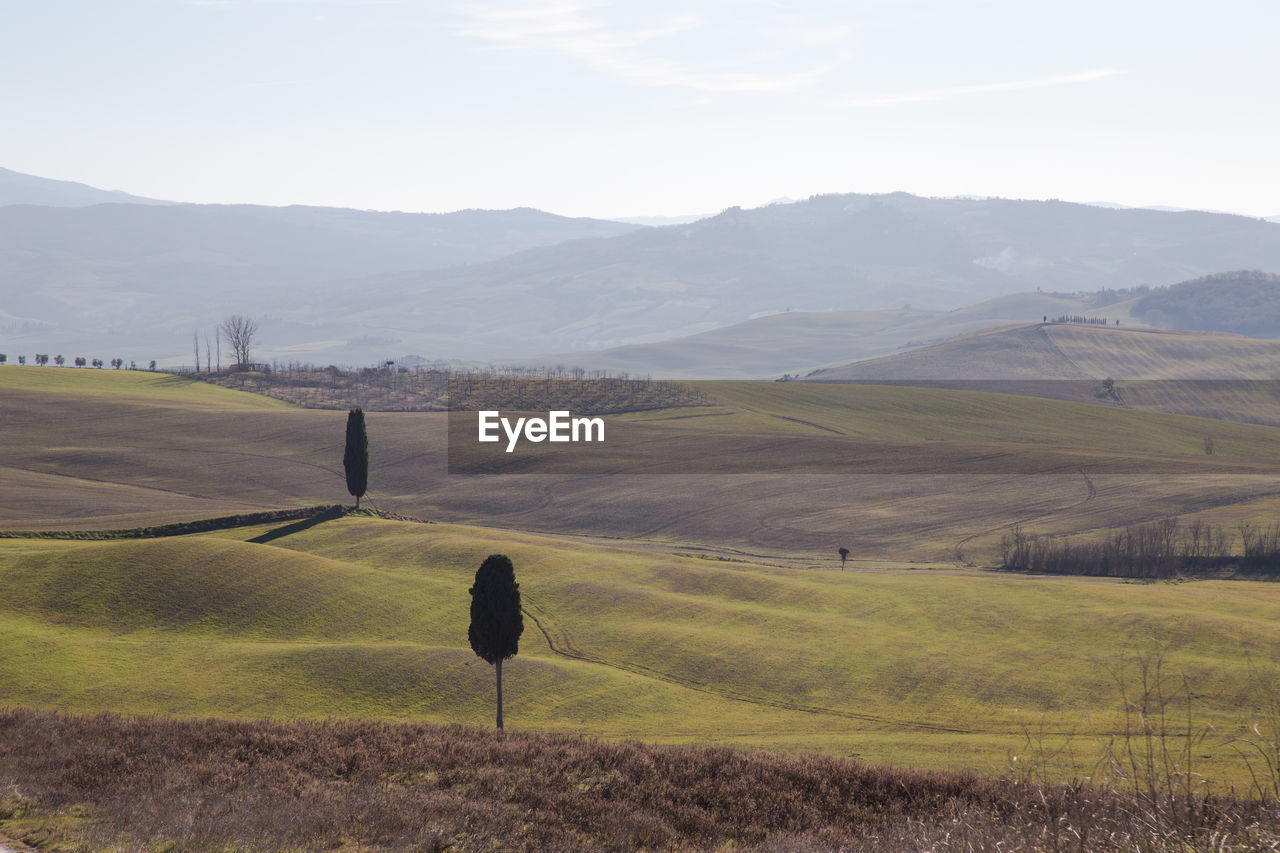 SCENIC VIEW OF LAND AGAINST SKY