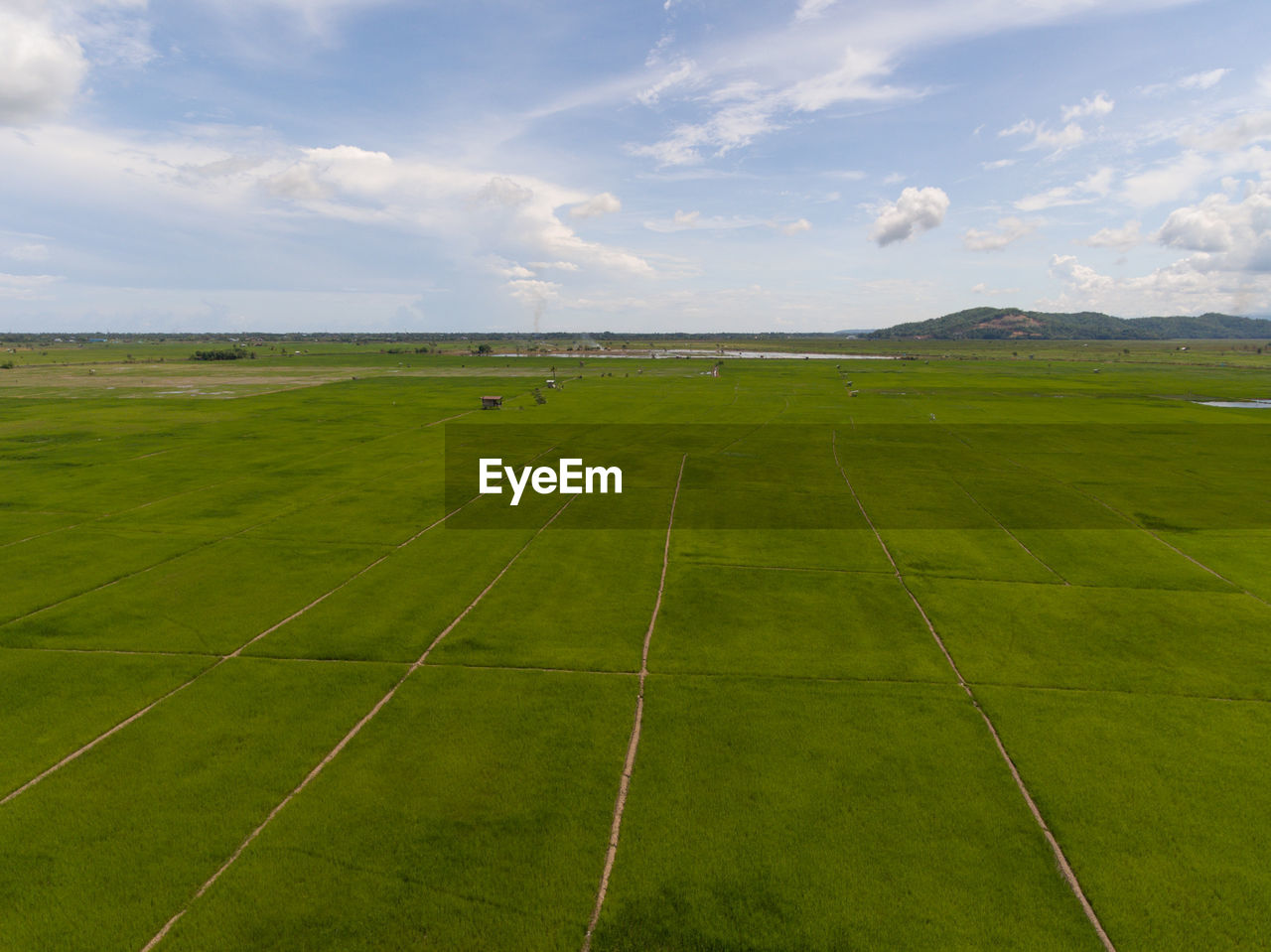 SCENIC VIEW OF AGRICULTURAL LANDSCAPE AGAINST SKY