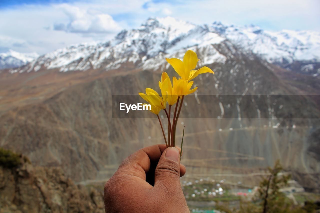 CLOSE-UP OF HAND HOLDING YELLOW FLOWER AGAINST MOUNTAIN