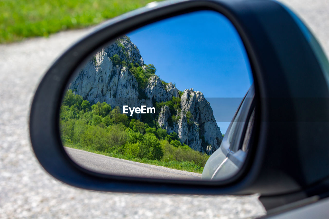 Reflection of trees on side-view mirror