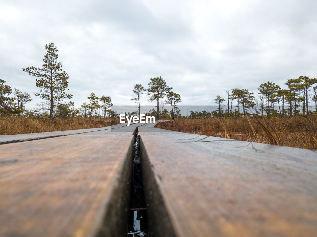 SURFACE LEVEL OF RAILROAD TRACKS AGAINST SKY