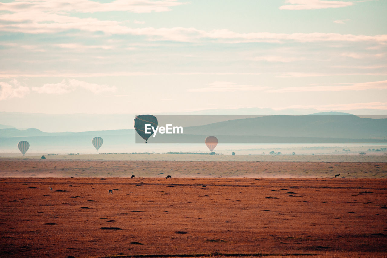 Hot air balloons flying over field against sky