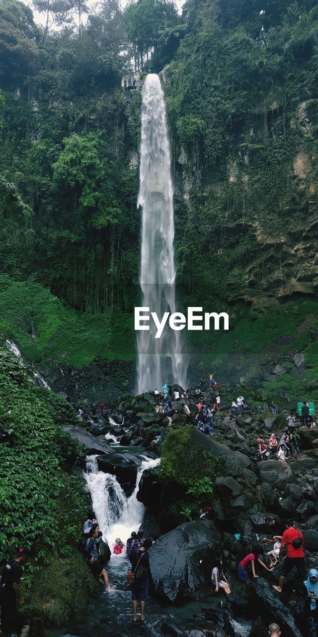 Scenic view of waterfall in forest