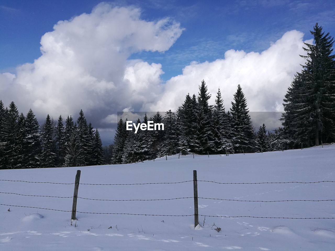 TREES ON SNOW COVERED MOUNTAINS AGAINST SKY