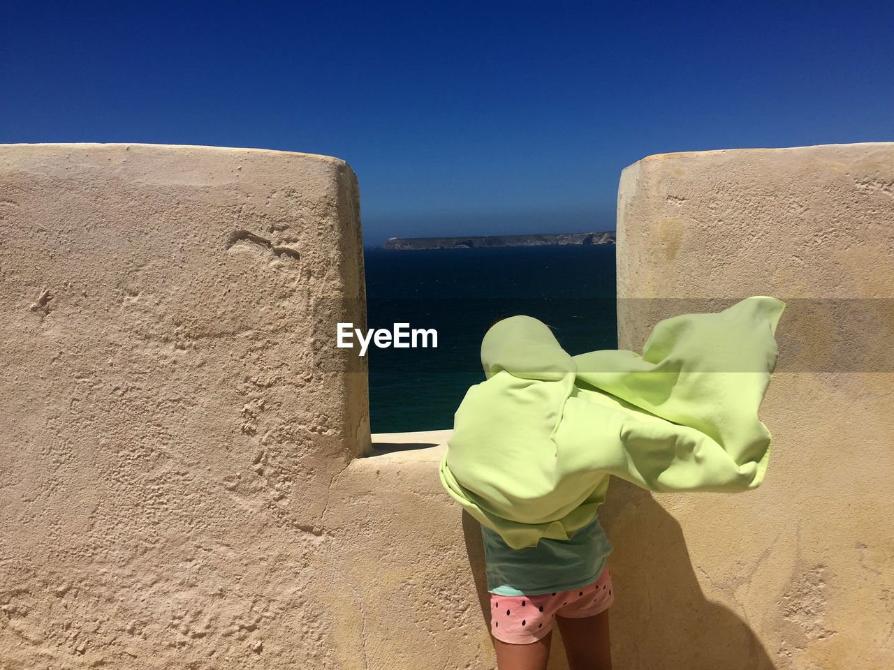 Rear view of girl looking at sea against clear sky