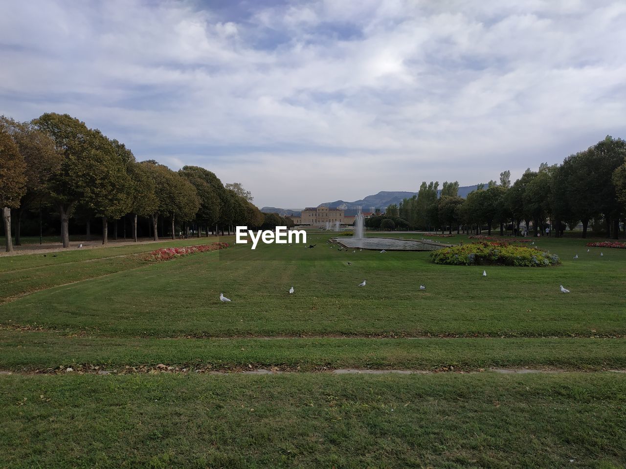 SCENIC VIEW OF GRASSY FIELD AGAINST SKY