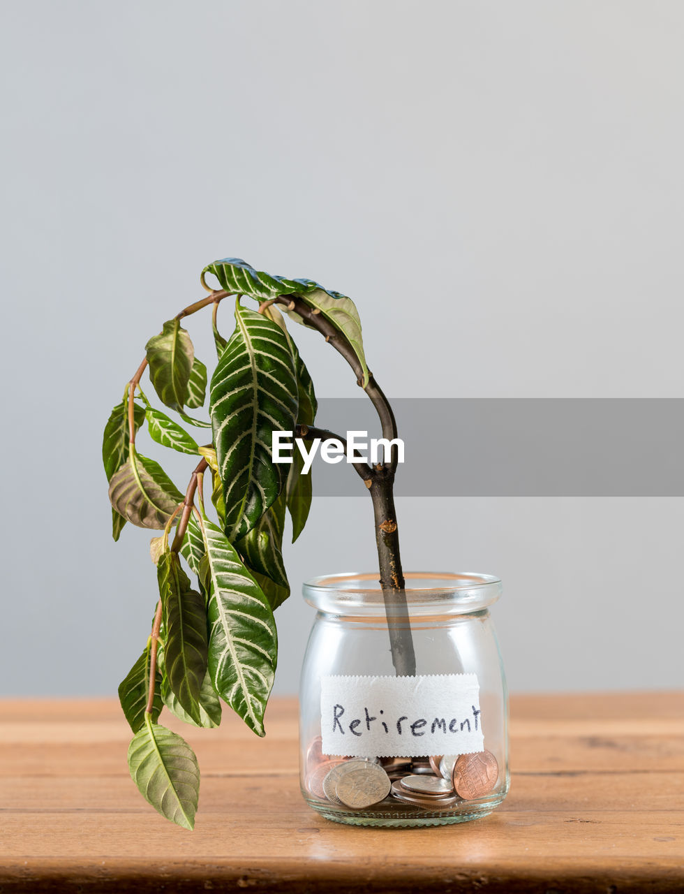 CLOSE-UP OF GREEN JAR ON TABLE