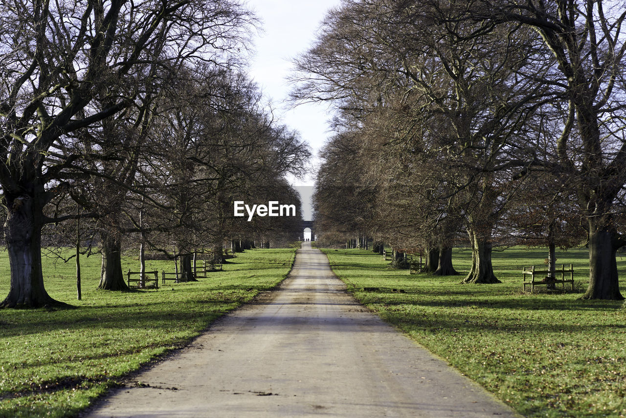Road amidst trees in park