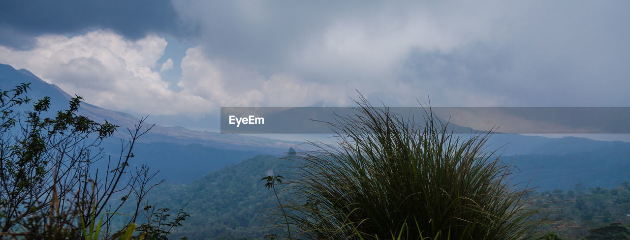 PANORAMIC VIEW OF TREE MOUNTAINS AGAINST SKY