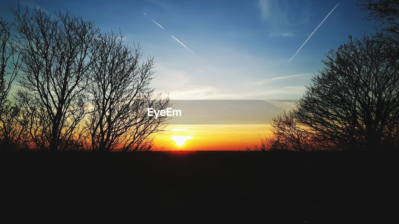 SILHOUETTE OF BARE TREE AGAINST SUNSET SKY