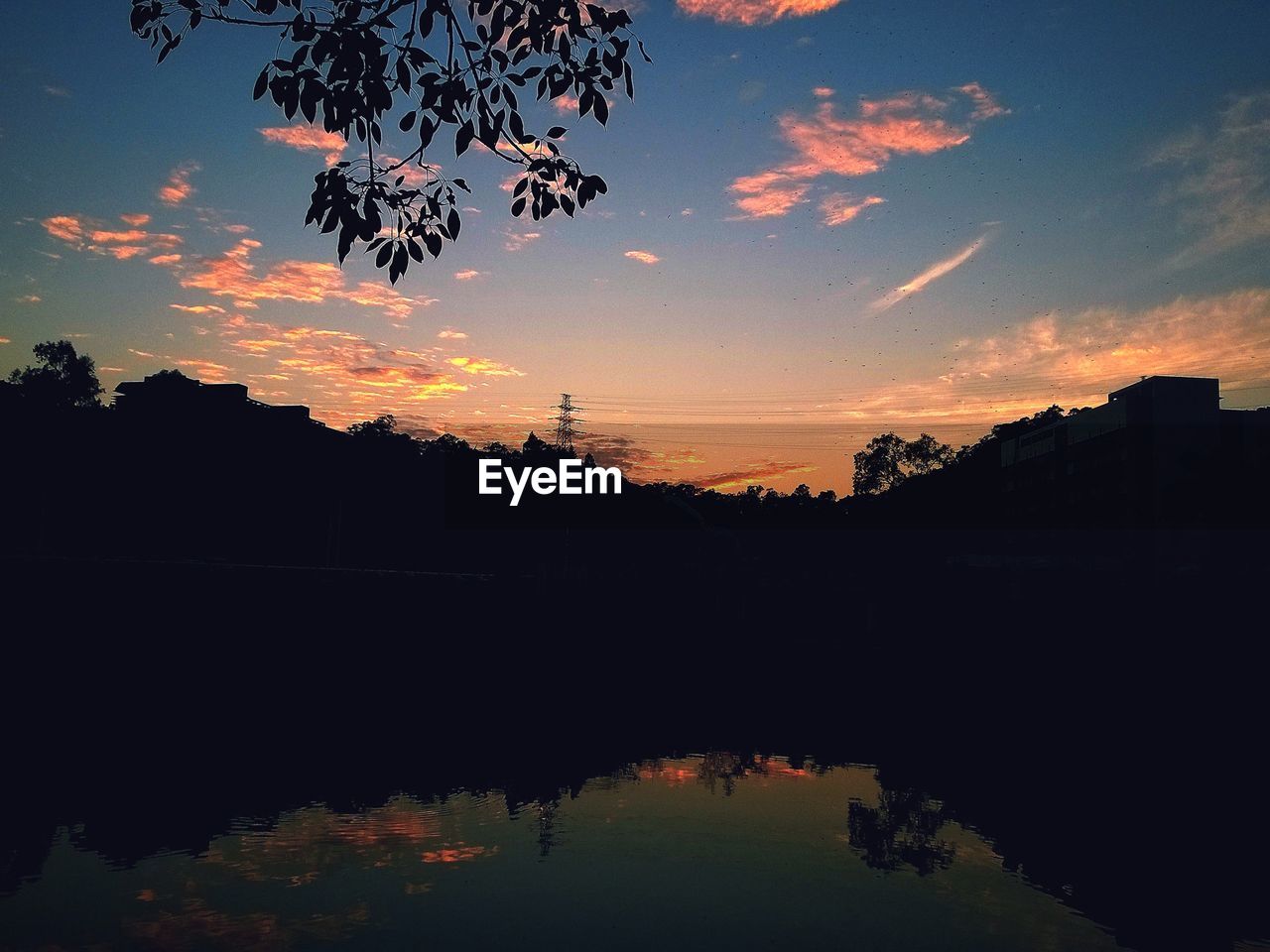 Silhouette of trees by river at dusk