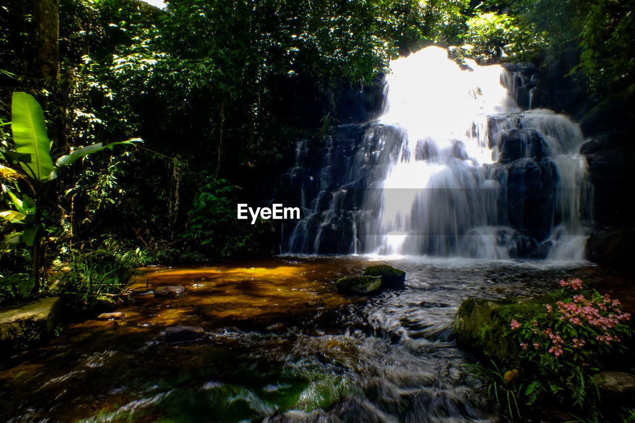 SCENIC VIEW OF WATERFALL IN FOREST