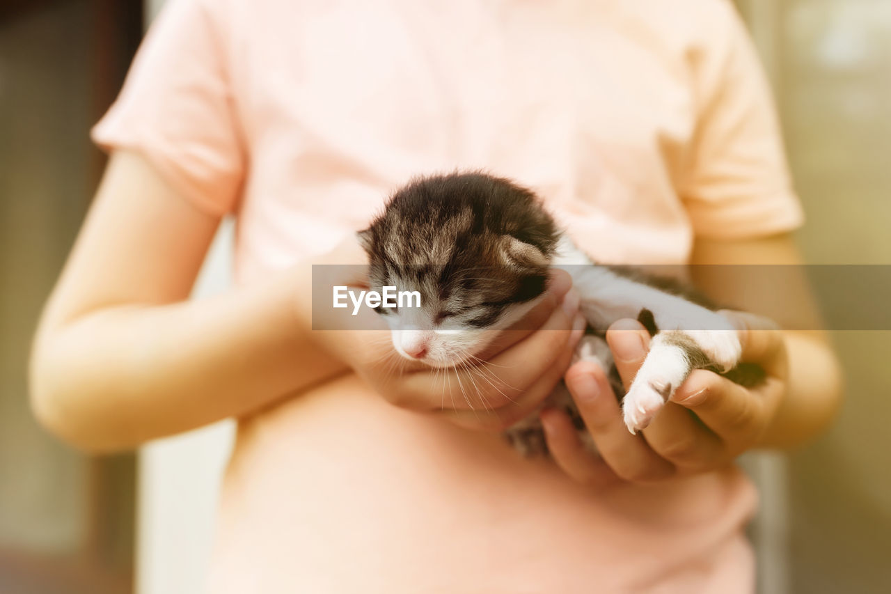 Girl holding little kitten with closed eyes in her arms. pet care concept. playing with newborn cat