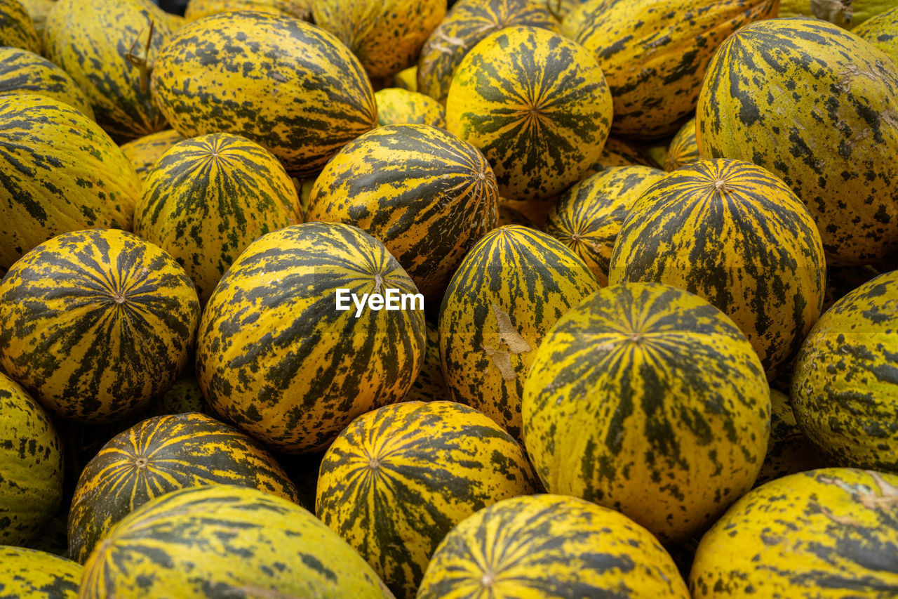 Melons standing on the counter. 