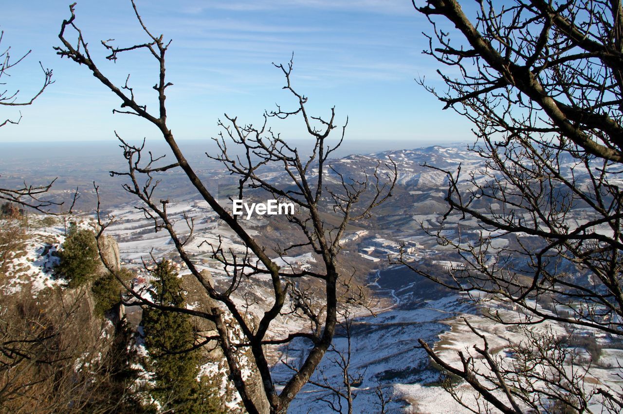 SCENIC VIEW OF BARE TREE AGAINST SKY