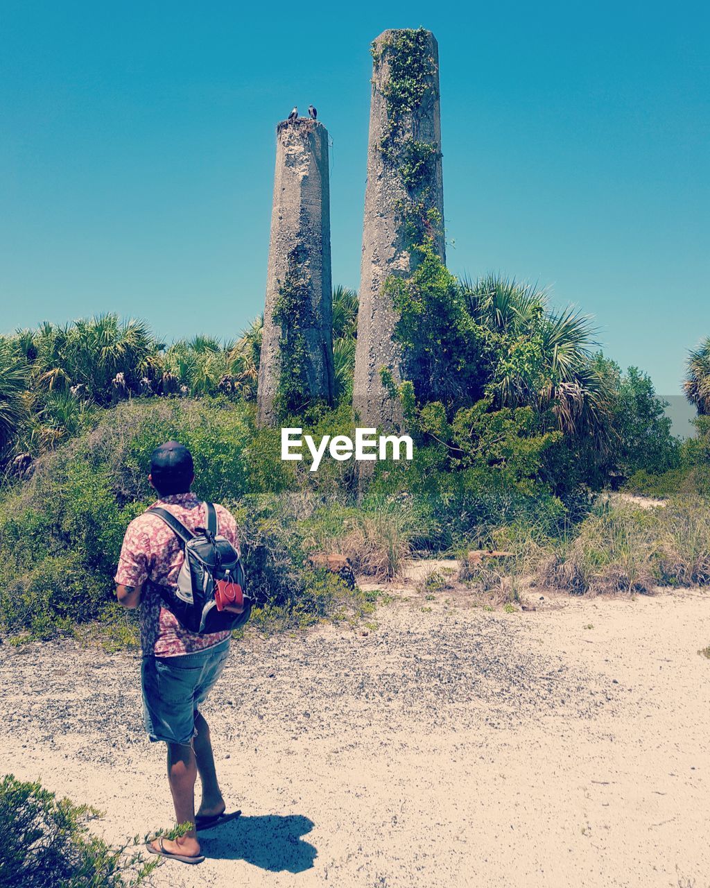 REAR VIEW OF WOMAN STANDING ON TREE TRUNK