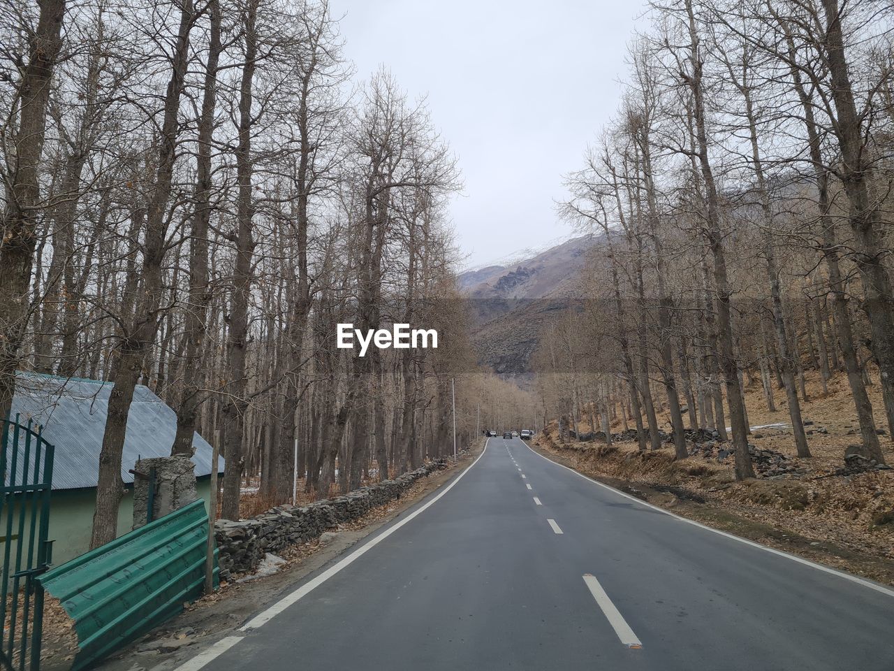 ROAD AMIDST TREES AGAINST SKY