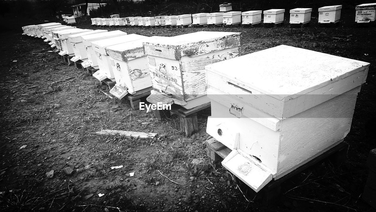 View of beehives