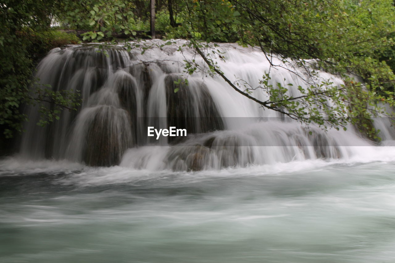 View of waterfall in forest