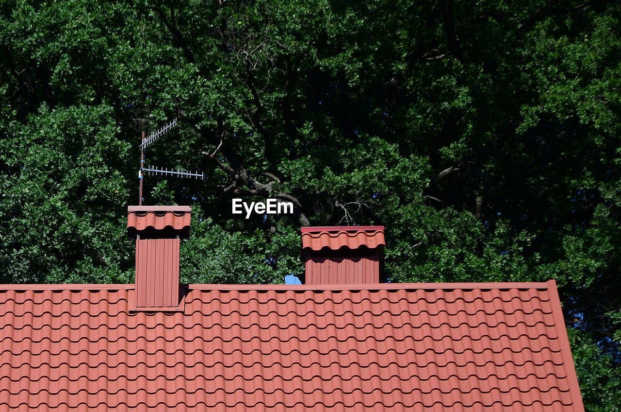 House and trees in park