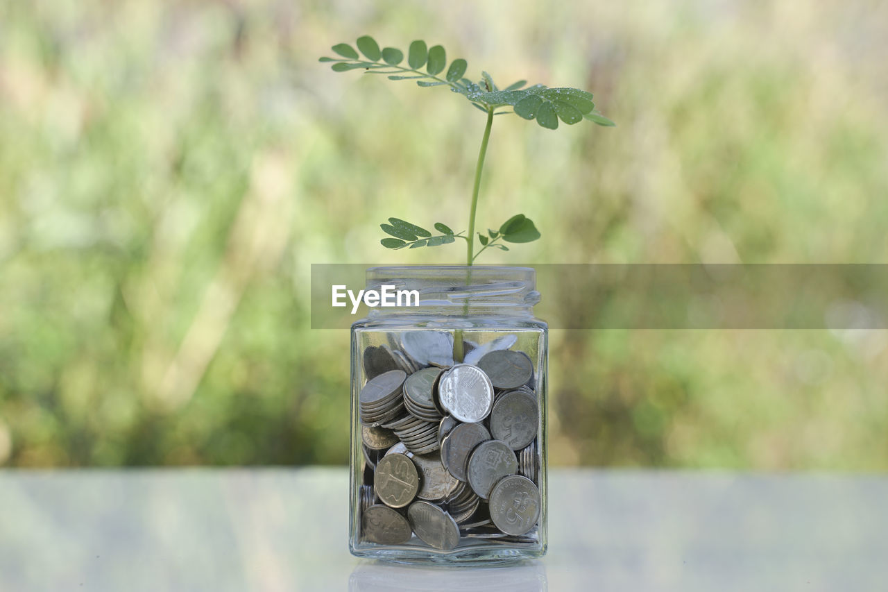 CLOSE-UP OF COINS ON GLASS TABLE