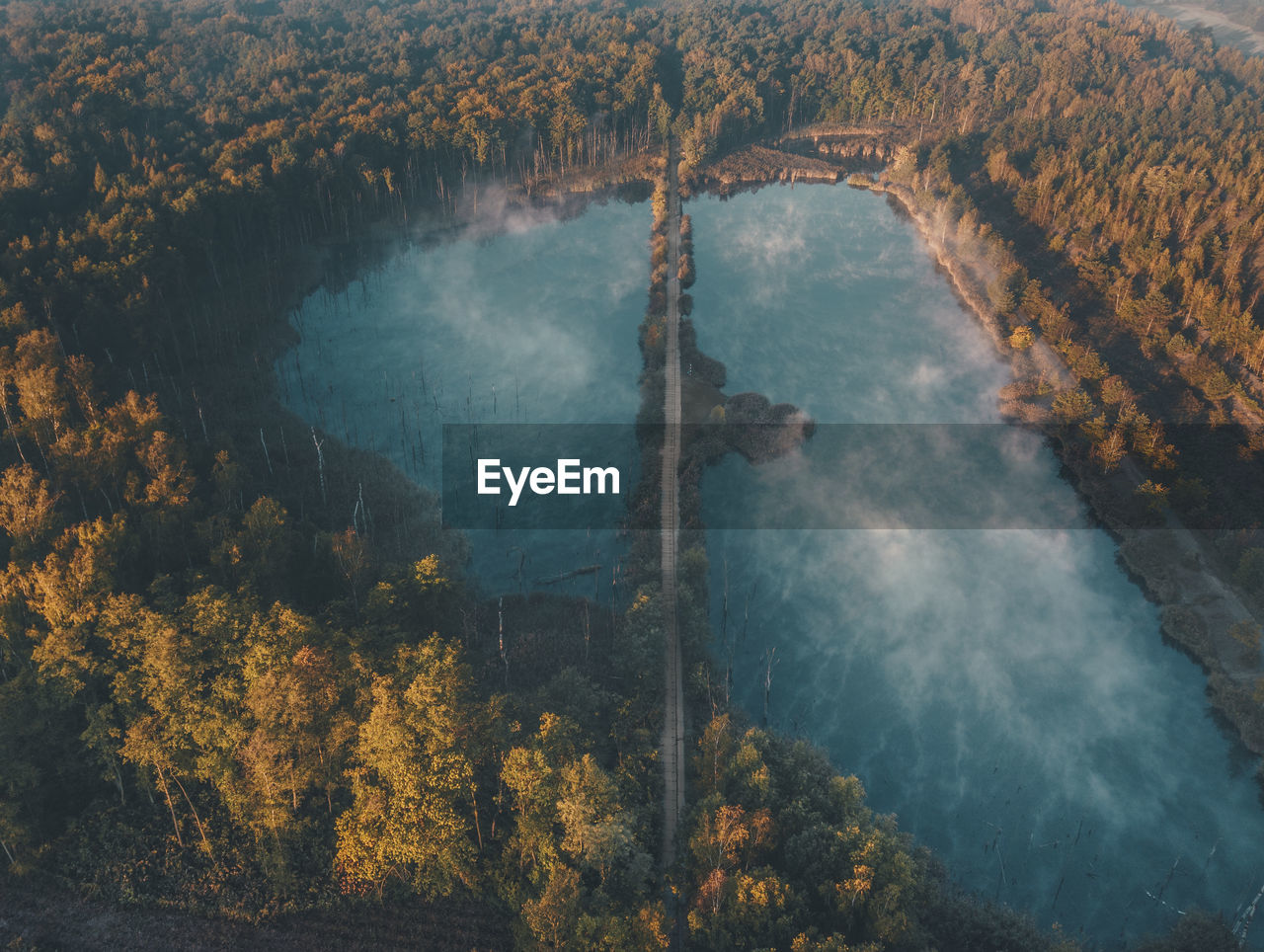 HIGH ANGLE VIEW OF RIVER AMIDST TREES