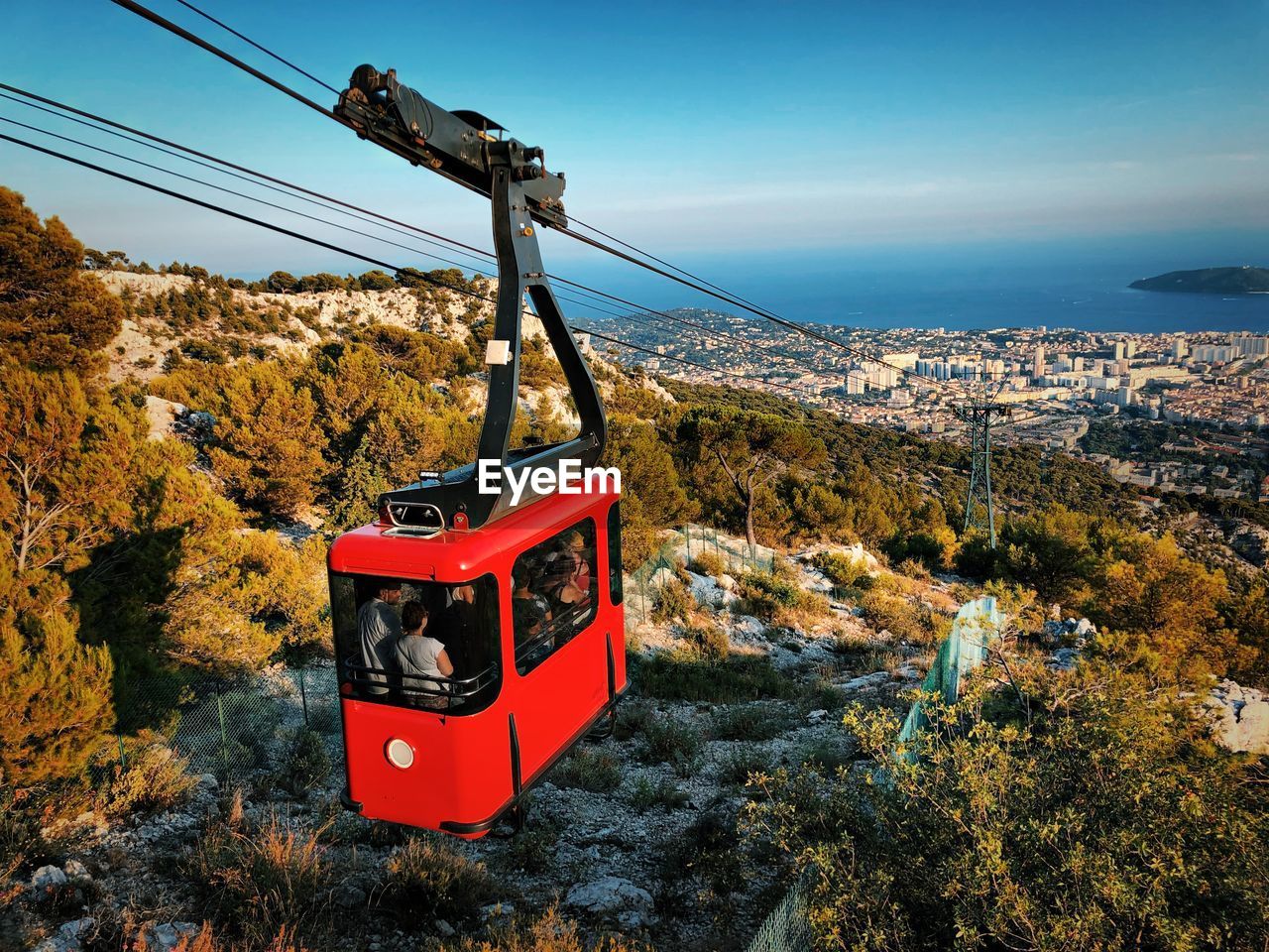 OVERHEAD CABLE CAR AGAINST TREES AND PLANTS