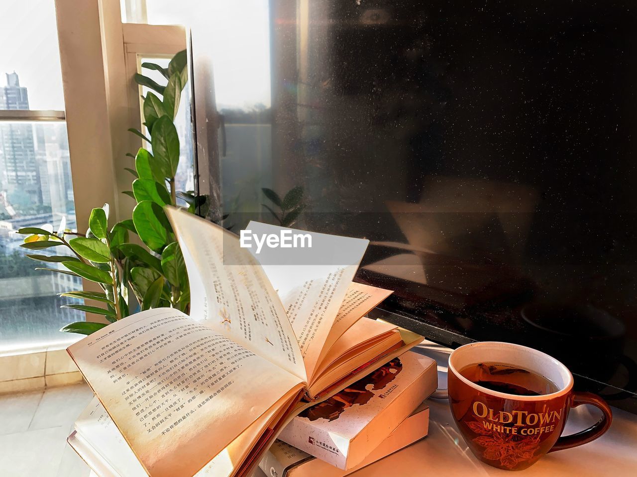 POTTED PLANT ON TABLE BY WINDOW AT HOME