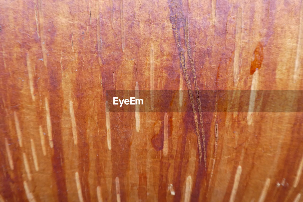 CLOSE-UP OF WOODEN PLANK