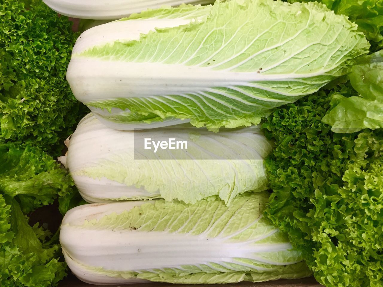 High angle view of chinese cabbage for sale at market
