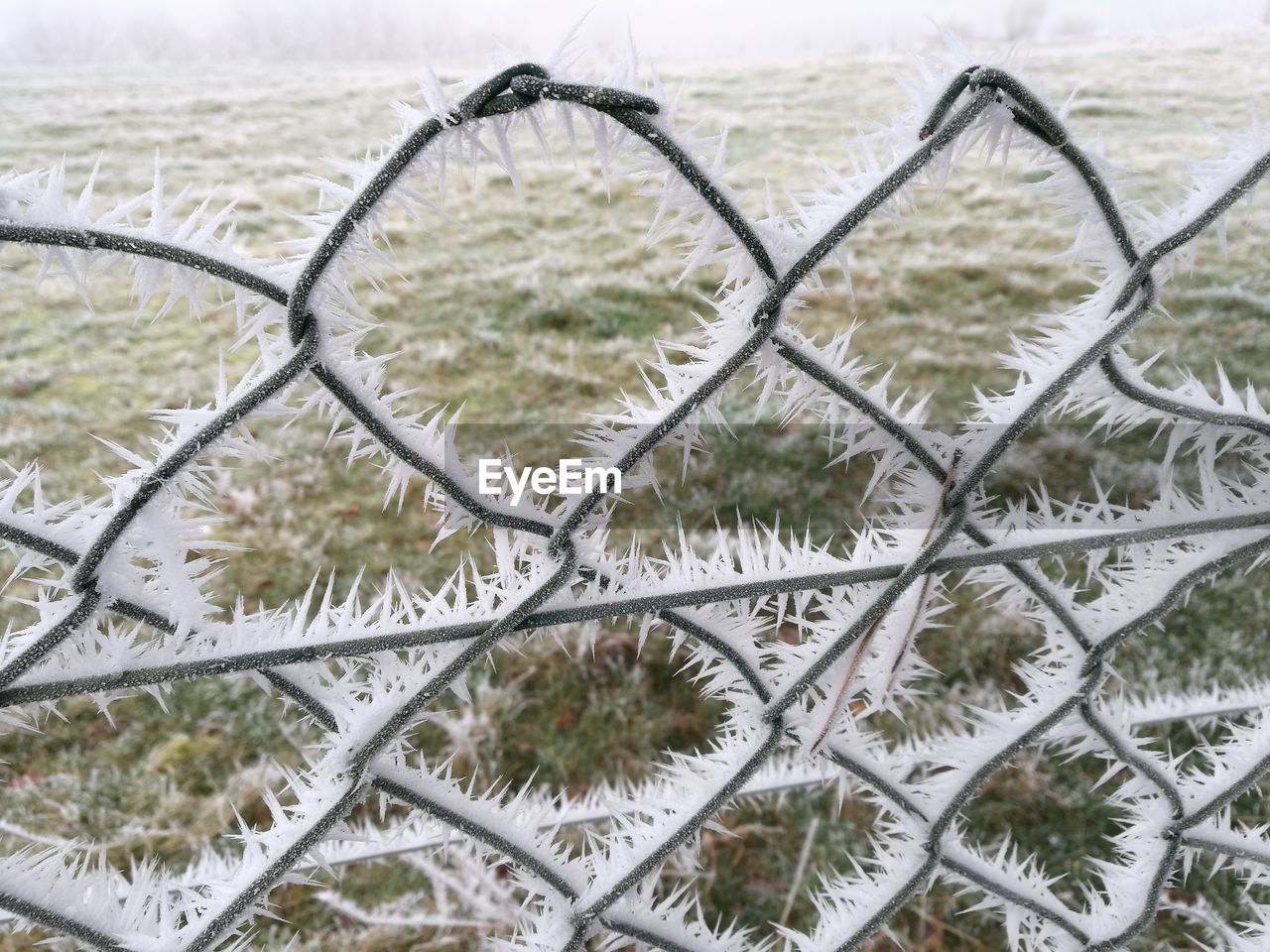 FULL FRAME SHOT OF METAL FENCE