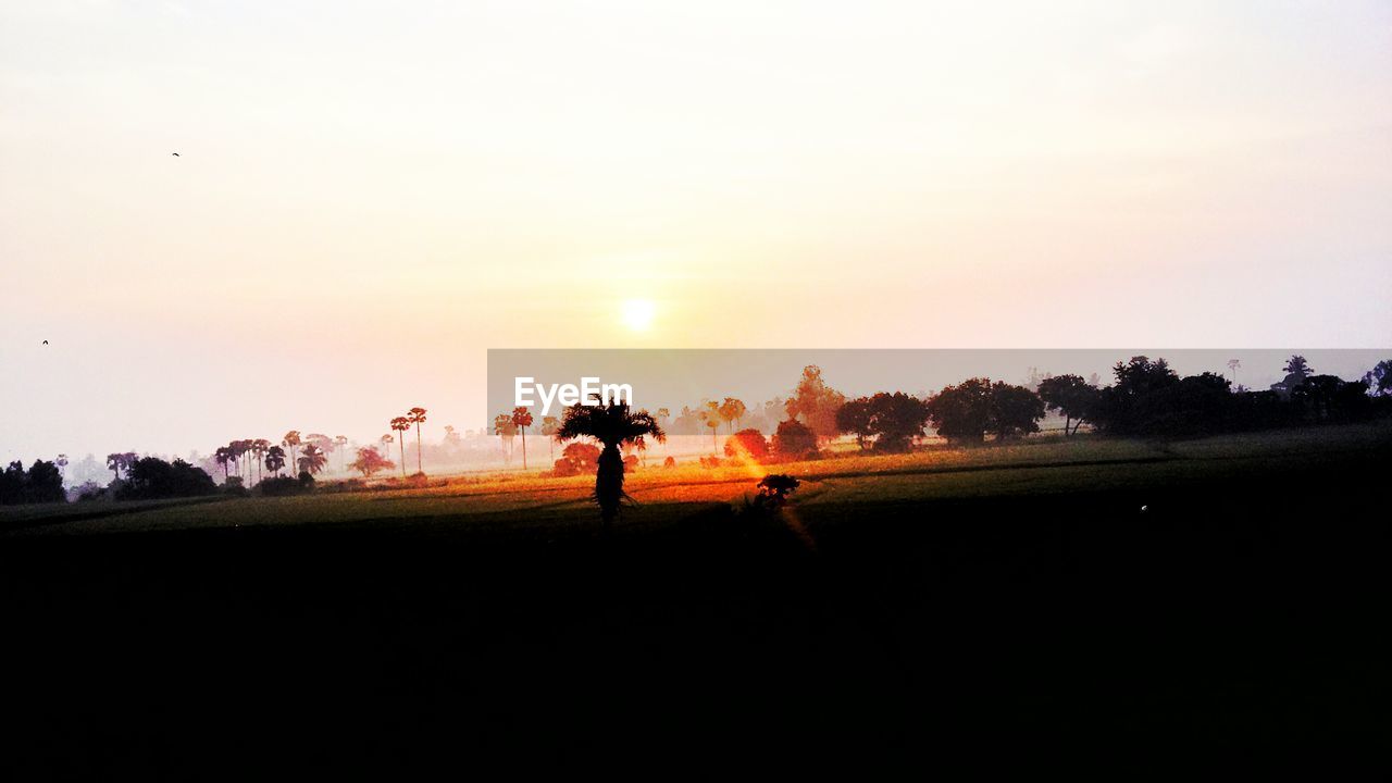 Scenic view of park against clear sky during sunrise