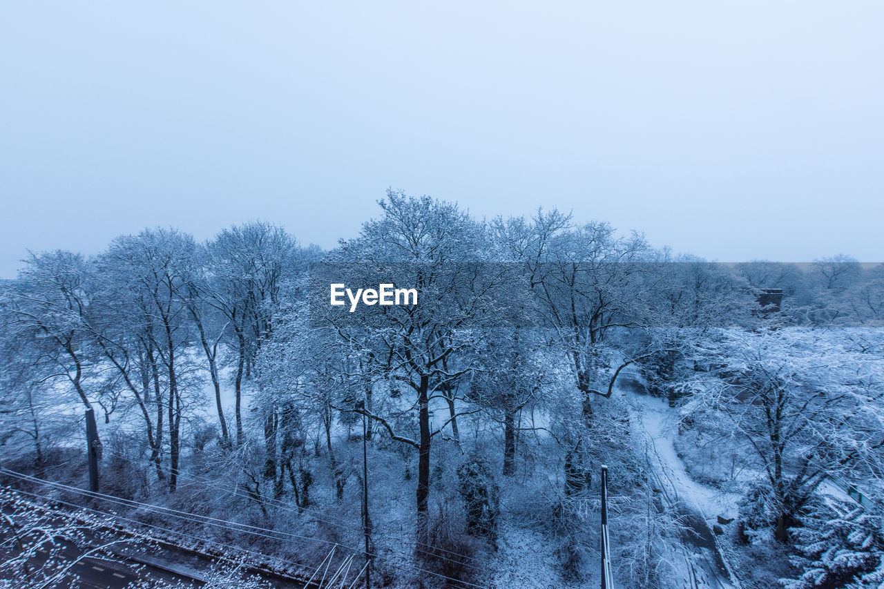 CLOSE-UP OF TREES AGAINST SKY DURING WINTER