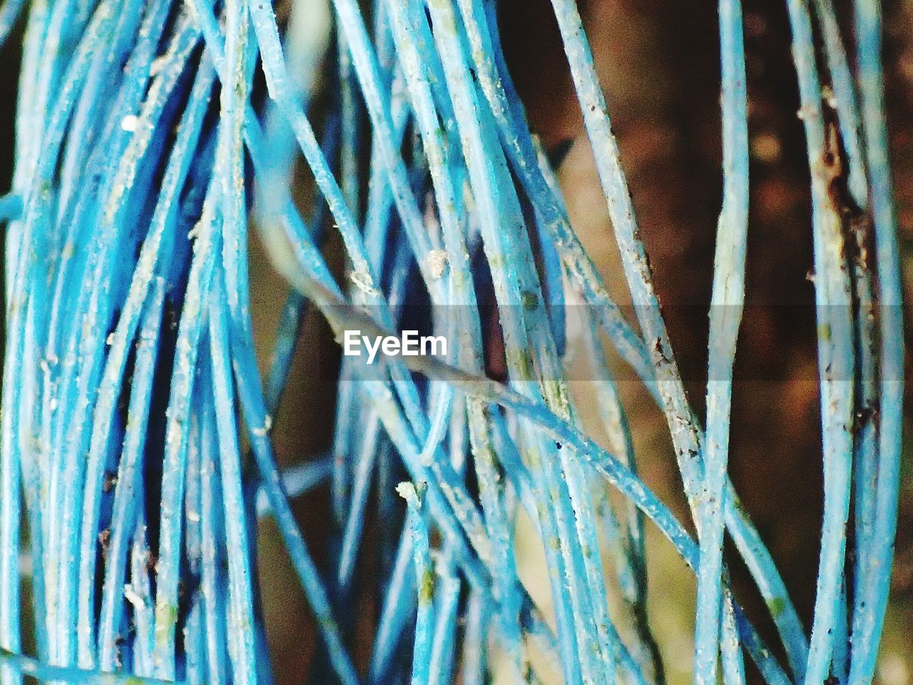 CLOSE-UP OF RUSTY ROPE