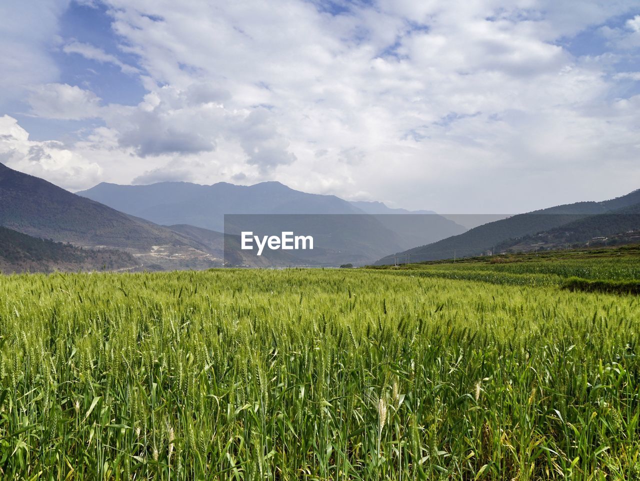 SCENIC VIEW OF FARM AGAINST SKY