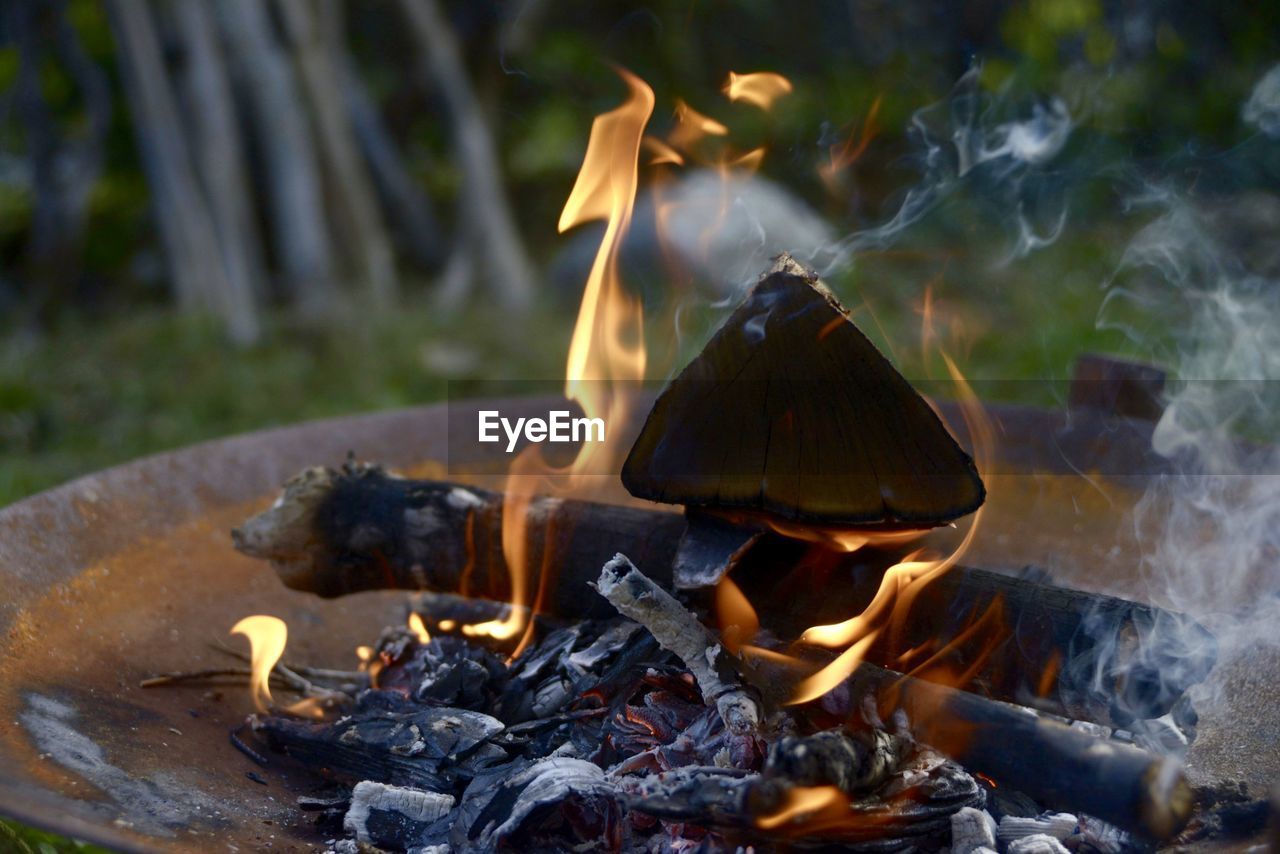 CLOSE-UP OF FIREWOOD BURNING ON WOOD