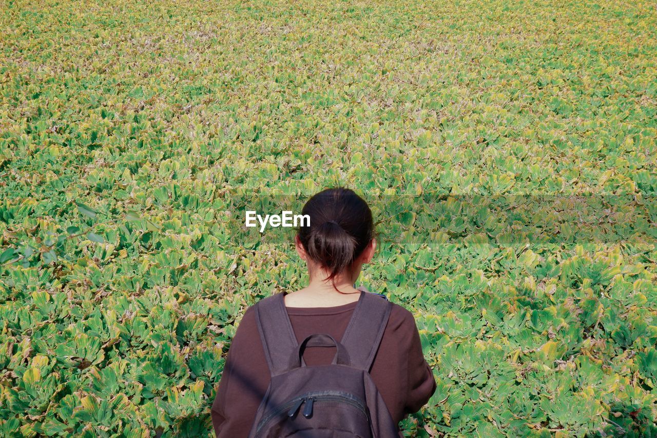 Rear view of teenage girl with backpack on grass