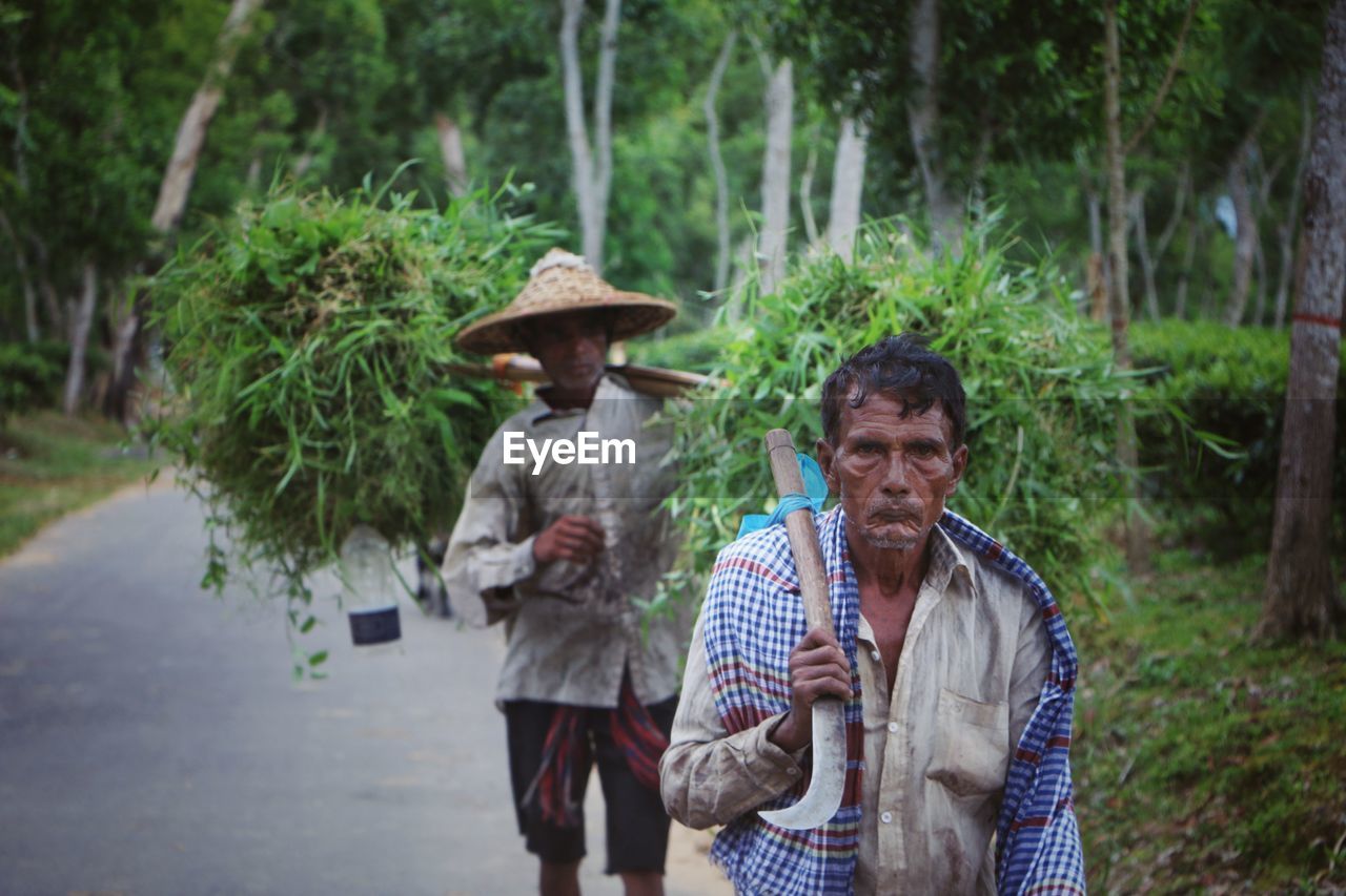 Farmer in the tea garden